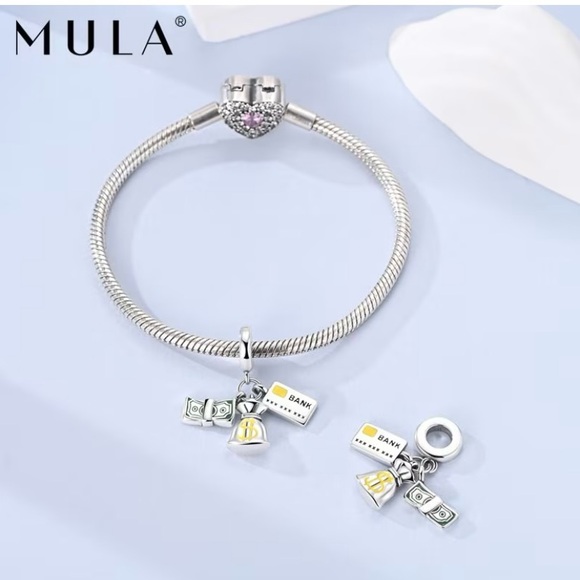 MULA Silver Charm Pendant with Money Symbols - Picture 6 of 10